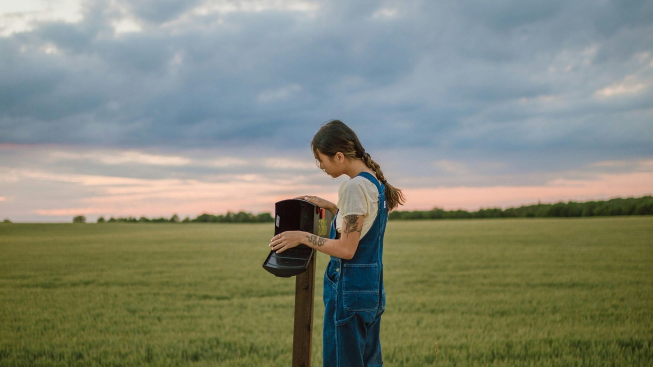 pexels-photo-8506641